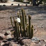 TourdSoCal_1_0211 (September 11, 2015)